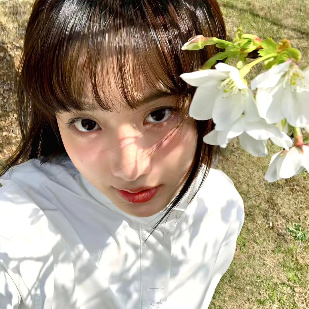 河曲马